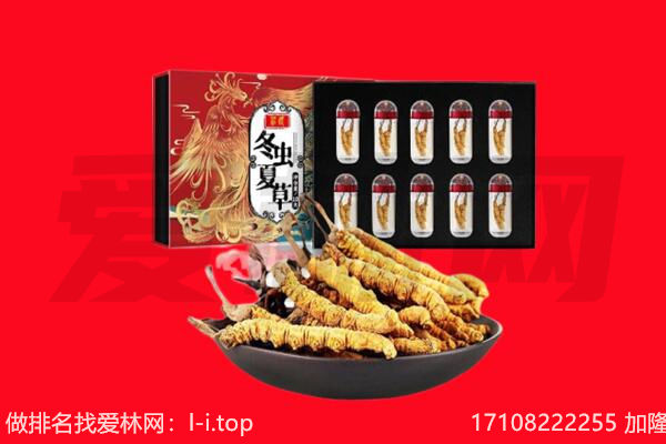 南京回收虫草.jpg